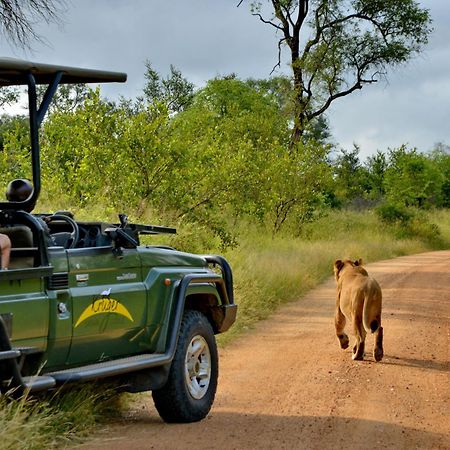 Kruger Safari Lodge マンイェレティ・ゲーム・リザーブ エクステリア 写真