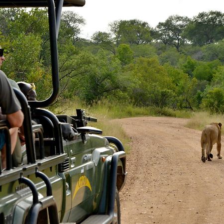 Kruger Safari Lodge マンイェレティ・ゲーム・リザーブ エクステリア 写真