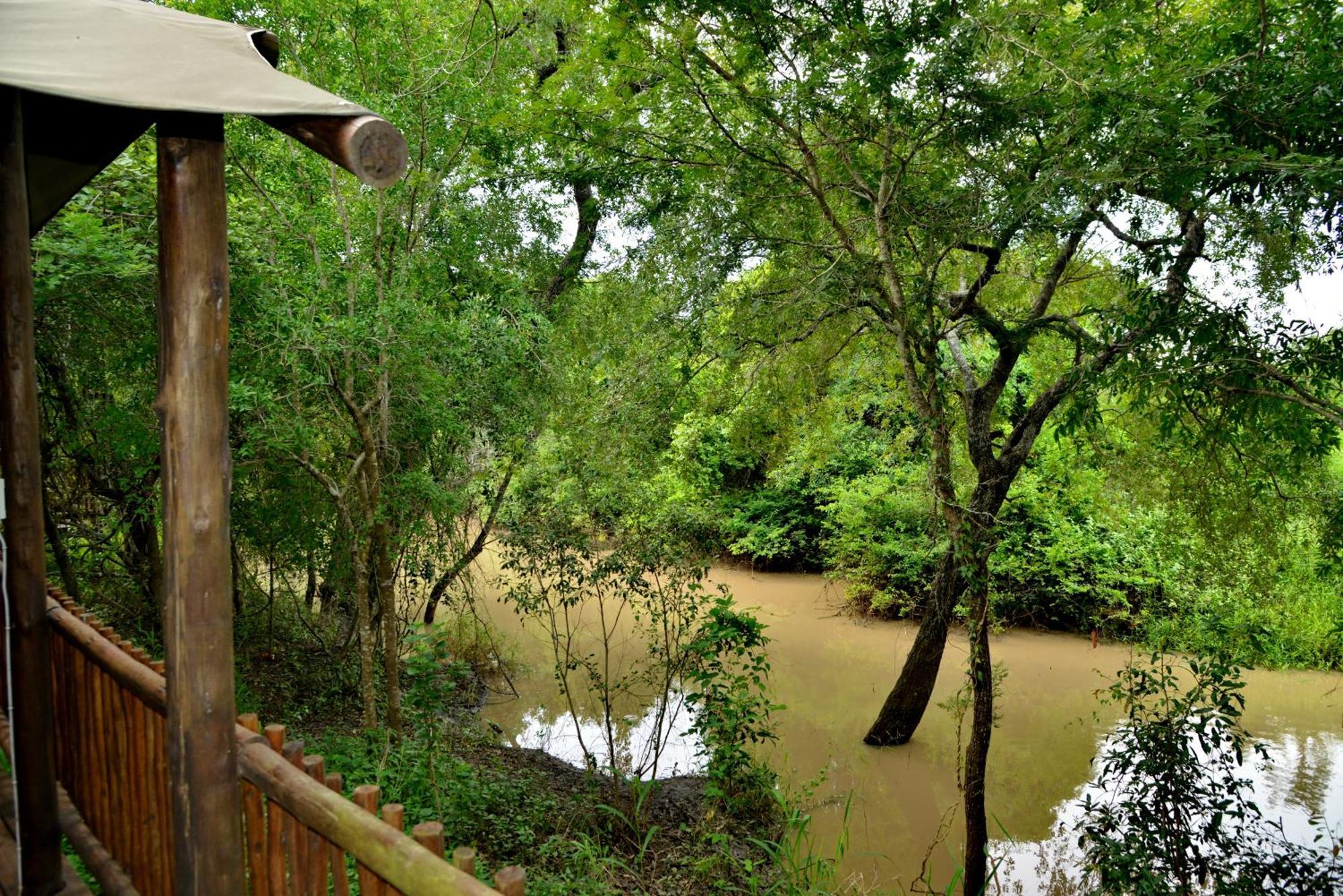 Kruger Safari Lodge マンイェレティ・ゲーム・リザーブ エクステリア 写真