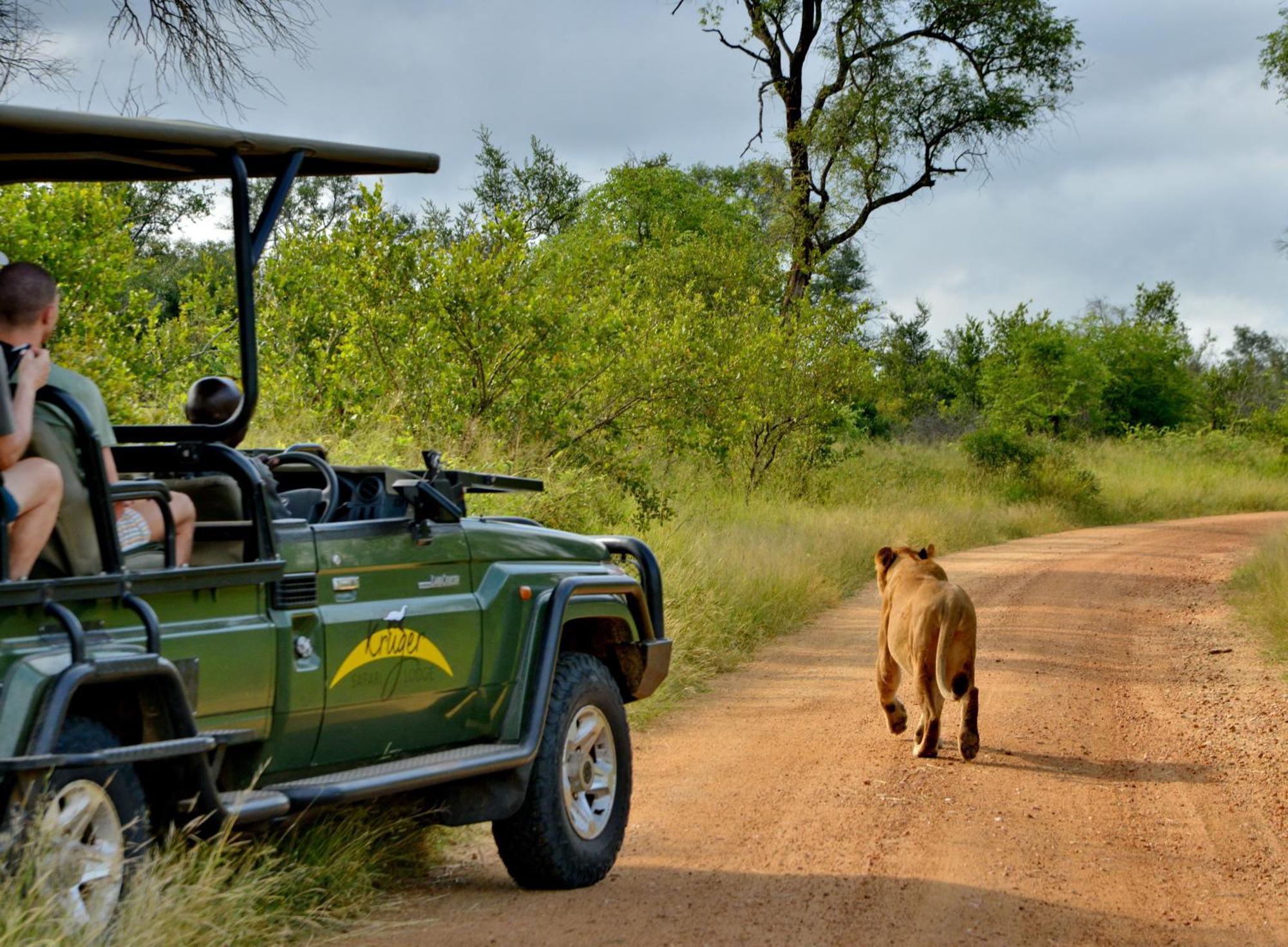Kruger Safari Lodge マンイェレティ・ゲーム・リザーブ エクステリア 写真