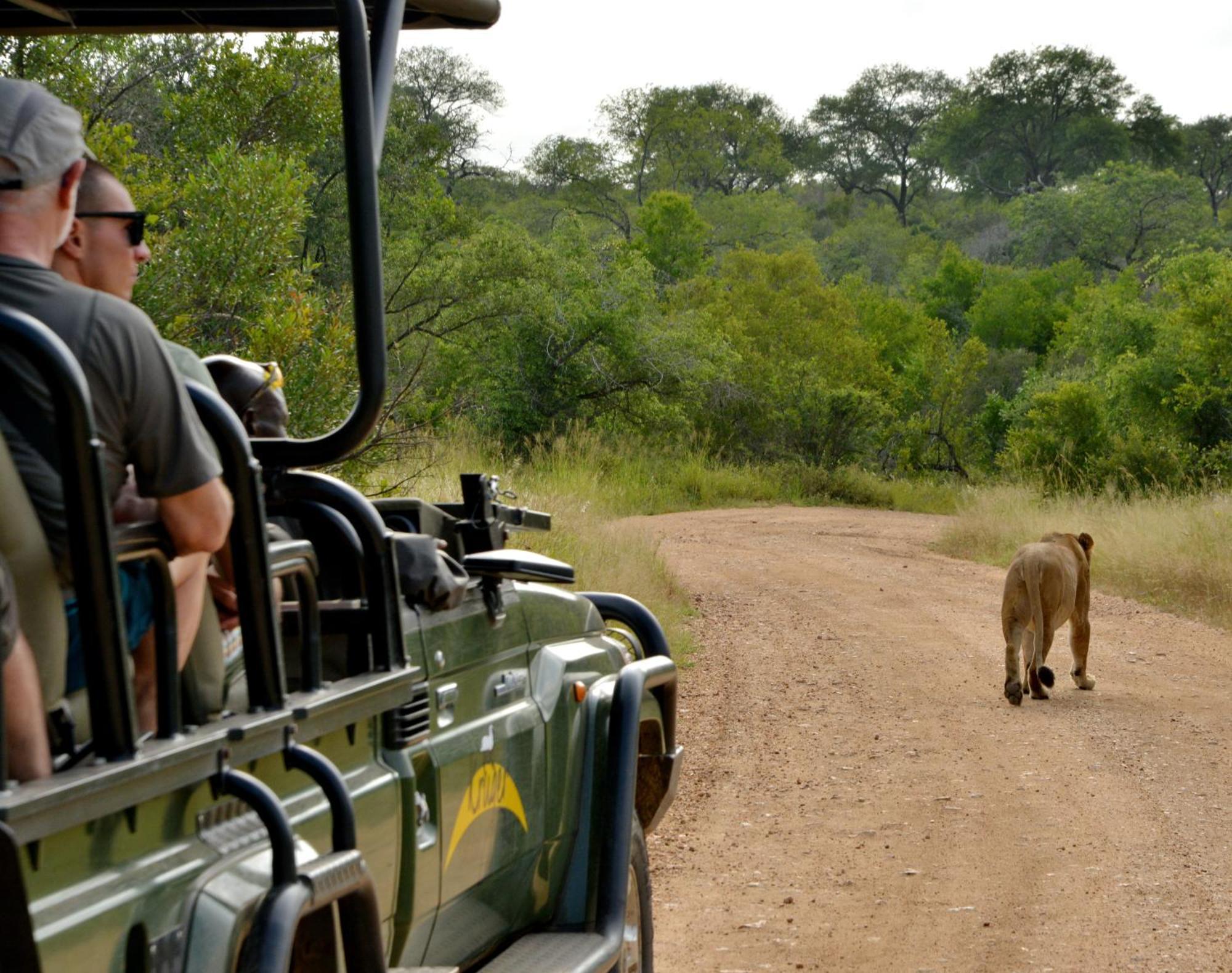Kruger Safari Lodge マンイェレティ・ゲーム・リザーブ エクステリア 写真